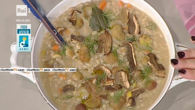 zuppa di orzotto con porcini e marroni